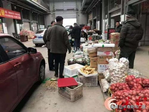 長春市多措并舉保障市民“菜籃子”供應(yīng)與新鮮水果零售穩(wěn)定