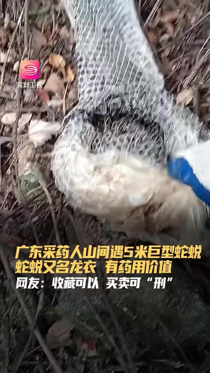 根植浙大科研，引領(lǐng)室內(nèi)健康——浙江冰蟲環(huán)保科技發(fā)展紀(jì)實(shí)